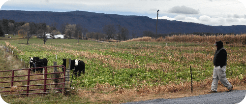 Smith Creek Cover Crop Field Day