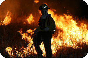 Warm Season Grass P-Burn By Joe Lehnen