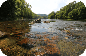 South Fork Shenandoah River - Chris Anderson