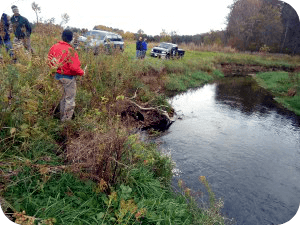 Trout All or Nothing Stream