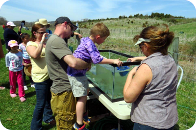 Catching Trout